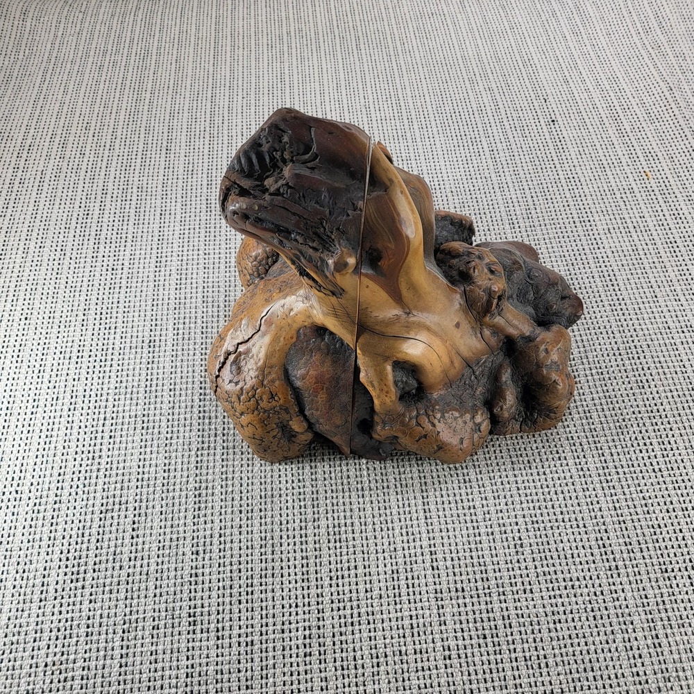 Rustic Natural Wood Burl Root Bookends‎ Pair Brown Organic Primitive Decor